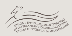 Partenaires internationaux