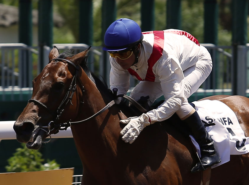 Le jockey 