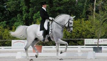 « Formation au dressage de compétition » sous la direction du Cavalier Olympique Carlos Pinto