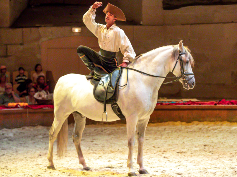 Un élève de l’Ecole des Arts Equestres de Marrakech en tête d’affiche du spectacle d’été des Grandes Ecuries du domaine de Chantilly