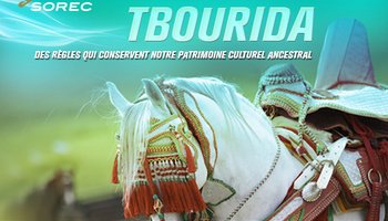 Live Tbourida - Salon Du Cheval