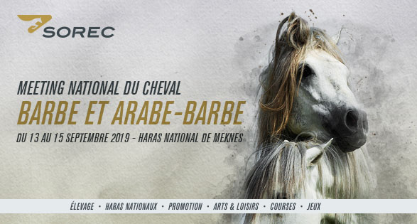 Meeting National du Cheval Barbe et Arabe Barbe