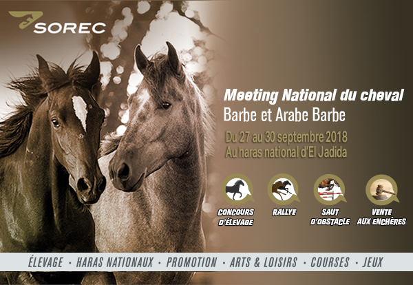 Meeting national du Barbe et Arabe Barbe