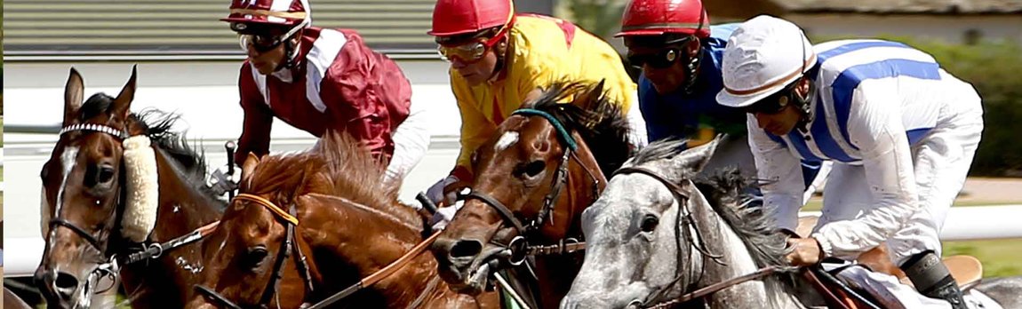 Jeux cheval