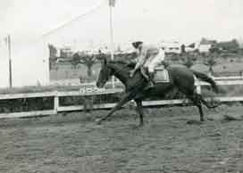 Chevaux de course