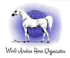 Partenaires internationaux