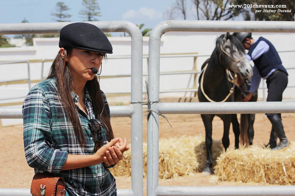 Dloul (Arabe Barbe, 4 ans) et Hicham Hamda