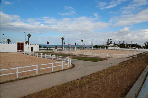 5ème édition des Journées Portes Ouvertes aux Haras Nationaux