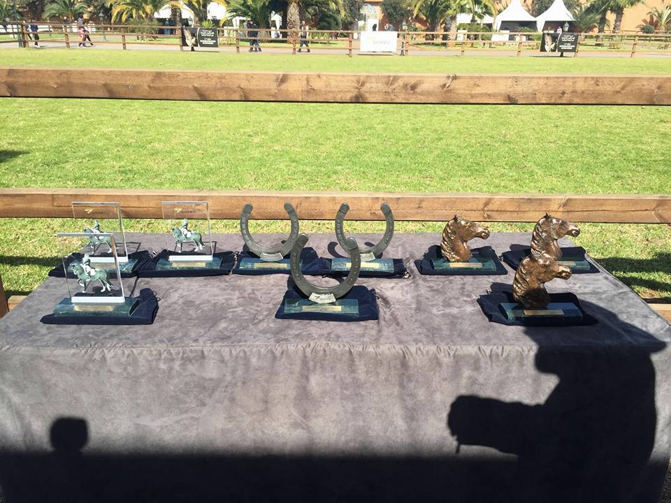 Haras National de Bouznika - Concours de maréchalerie, chevaux montés et entretien du cheval