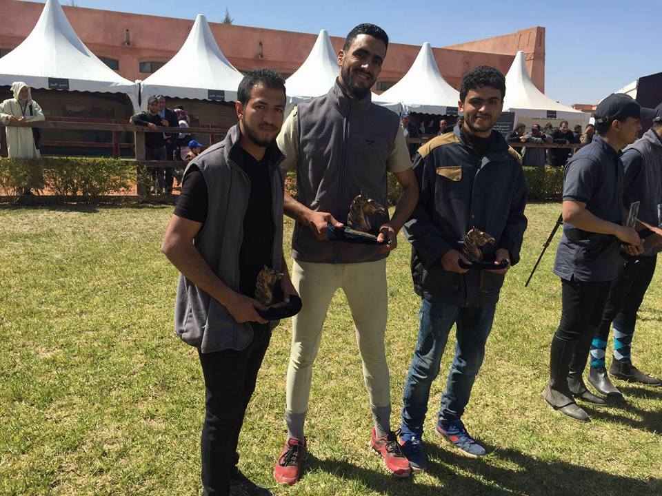 Haras National de Marrakech - Concours de maréchalerie, chevaux montés et entretien du cheval