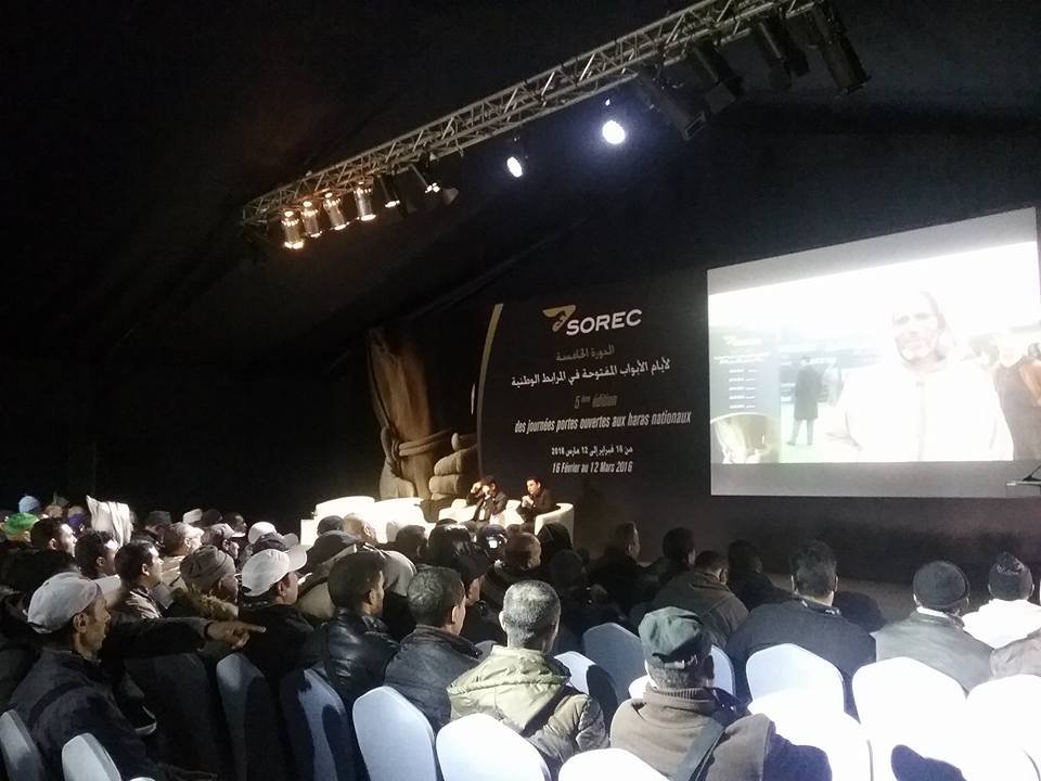 Haras National de Meknès - Edition 2016 des JPO