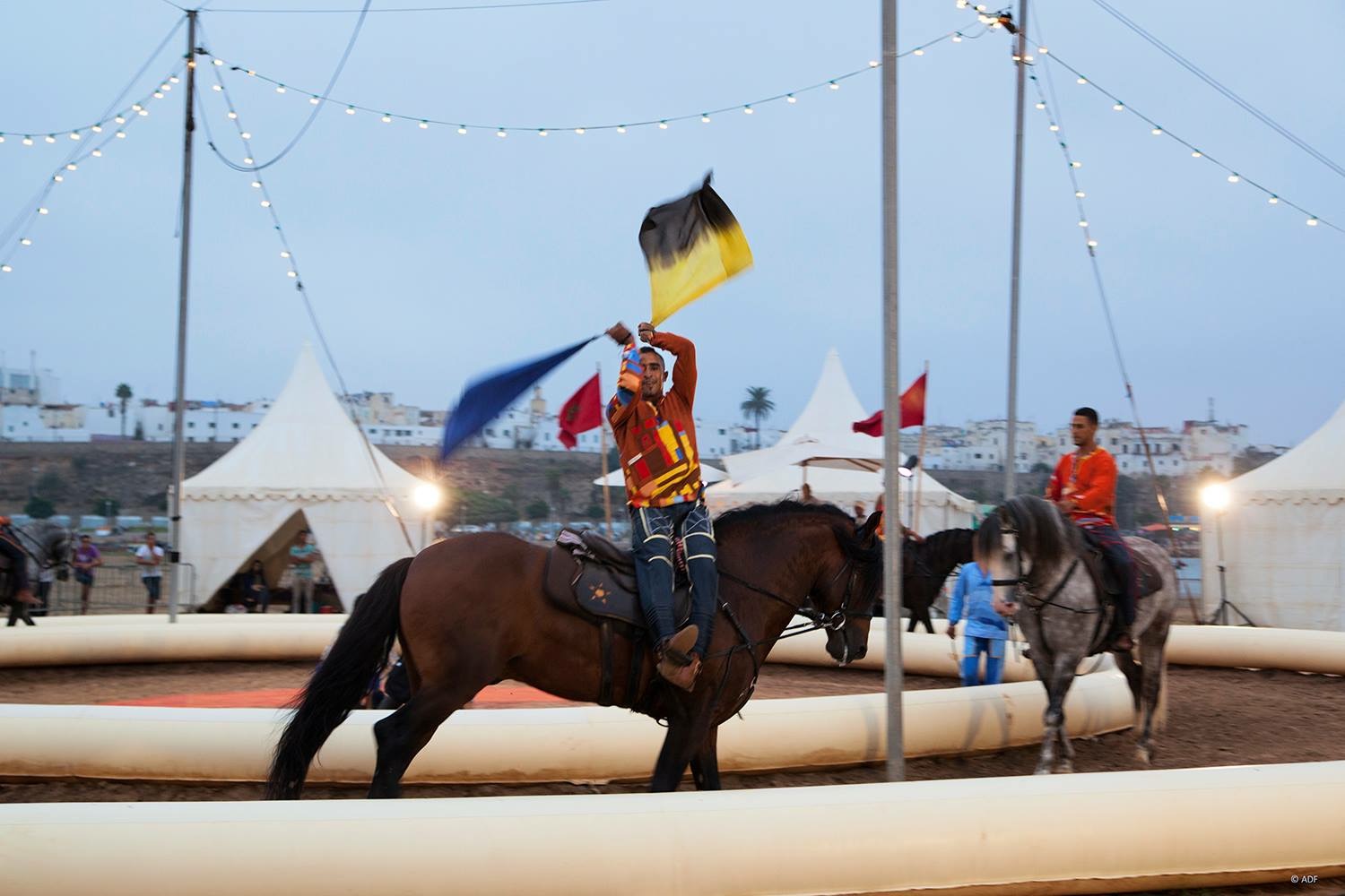 Best-of Spectacle 2015 - Ecole d'Art Equestre