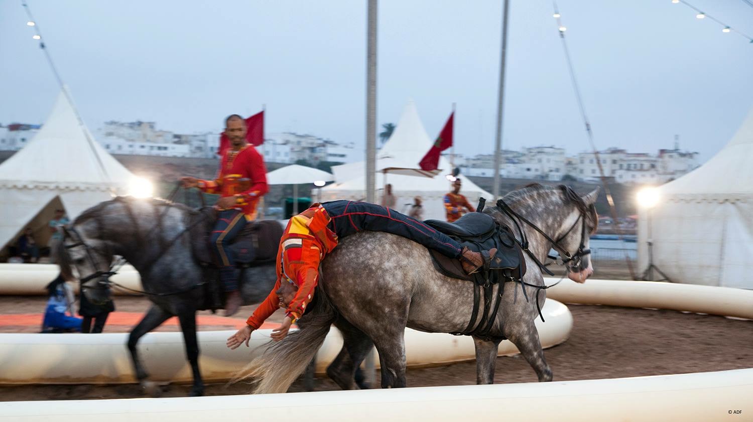 Best-of Spectacle 2015 - Ecole d'Art Equestre