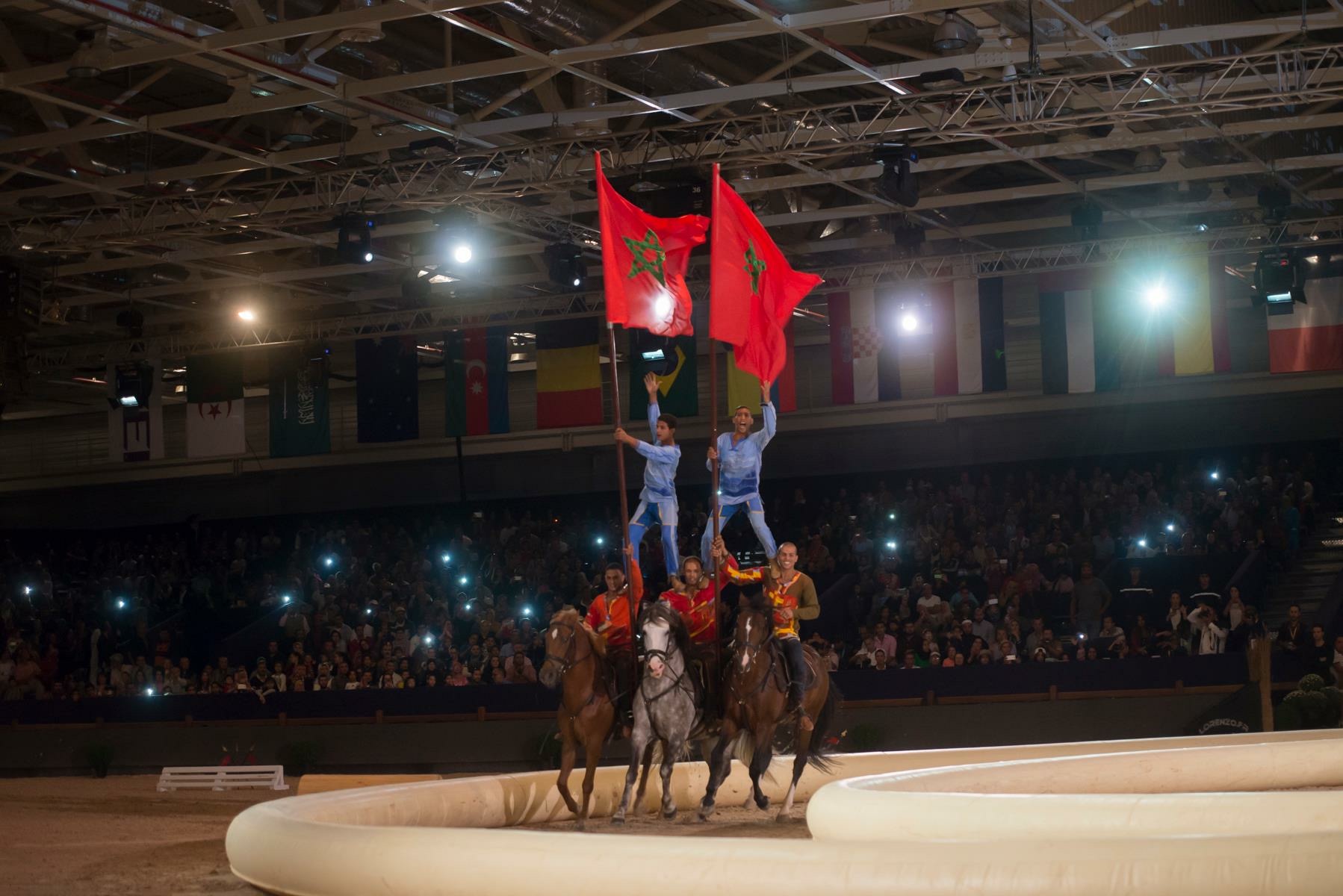 Best-of Spectacle 2015 - Ecole d'Art Equestre