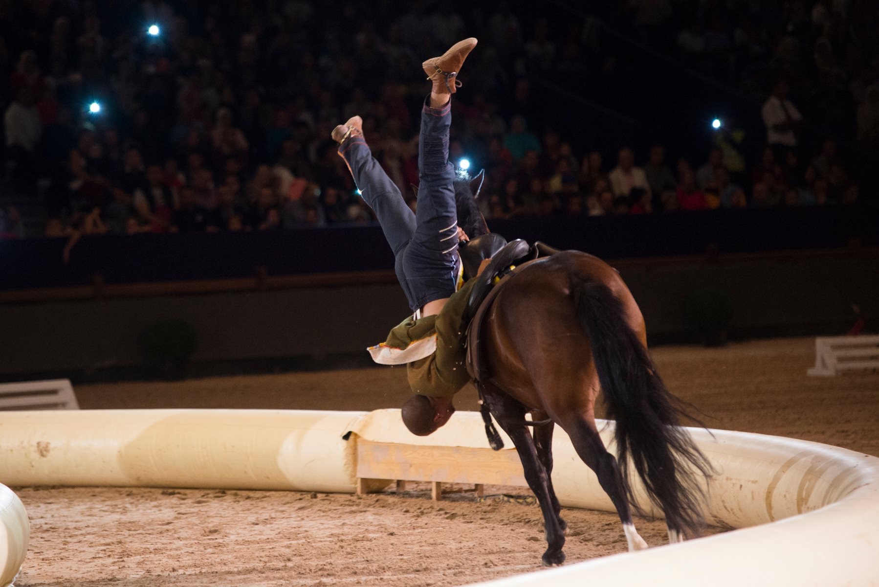 Best-of Spectacle 2015 - Ecole d'Art Equestre