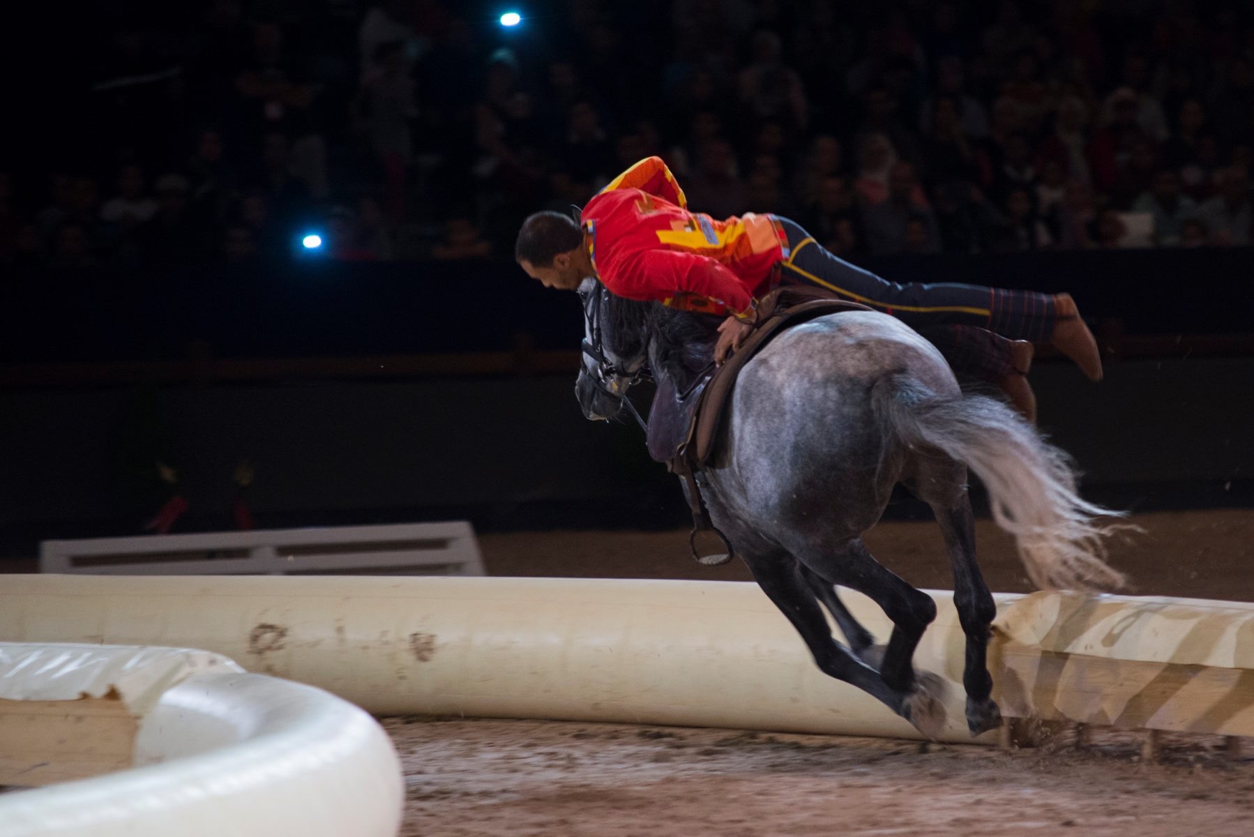 Best-of Spectacle 2015 - Ecole d'Art Equestre