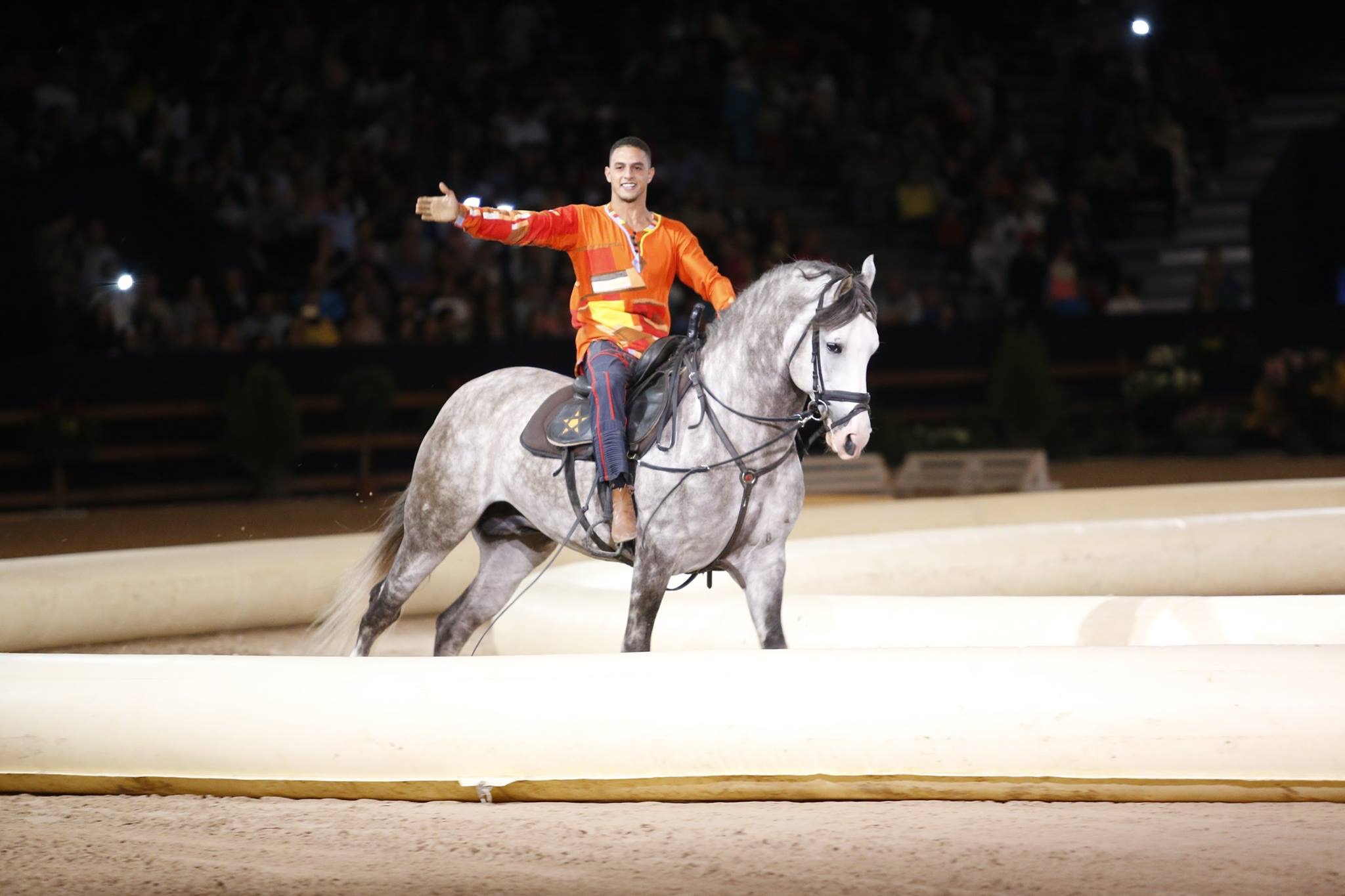Best-of Spectacle 2015 - Ecole d'Art Equestre