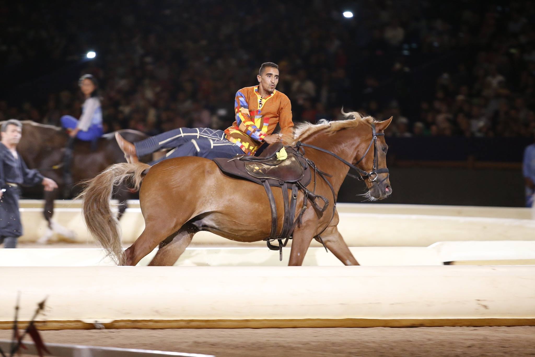 Best-of Spectacle 2015 - Ecole d'Art Equestre