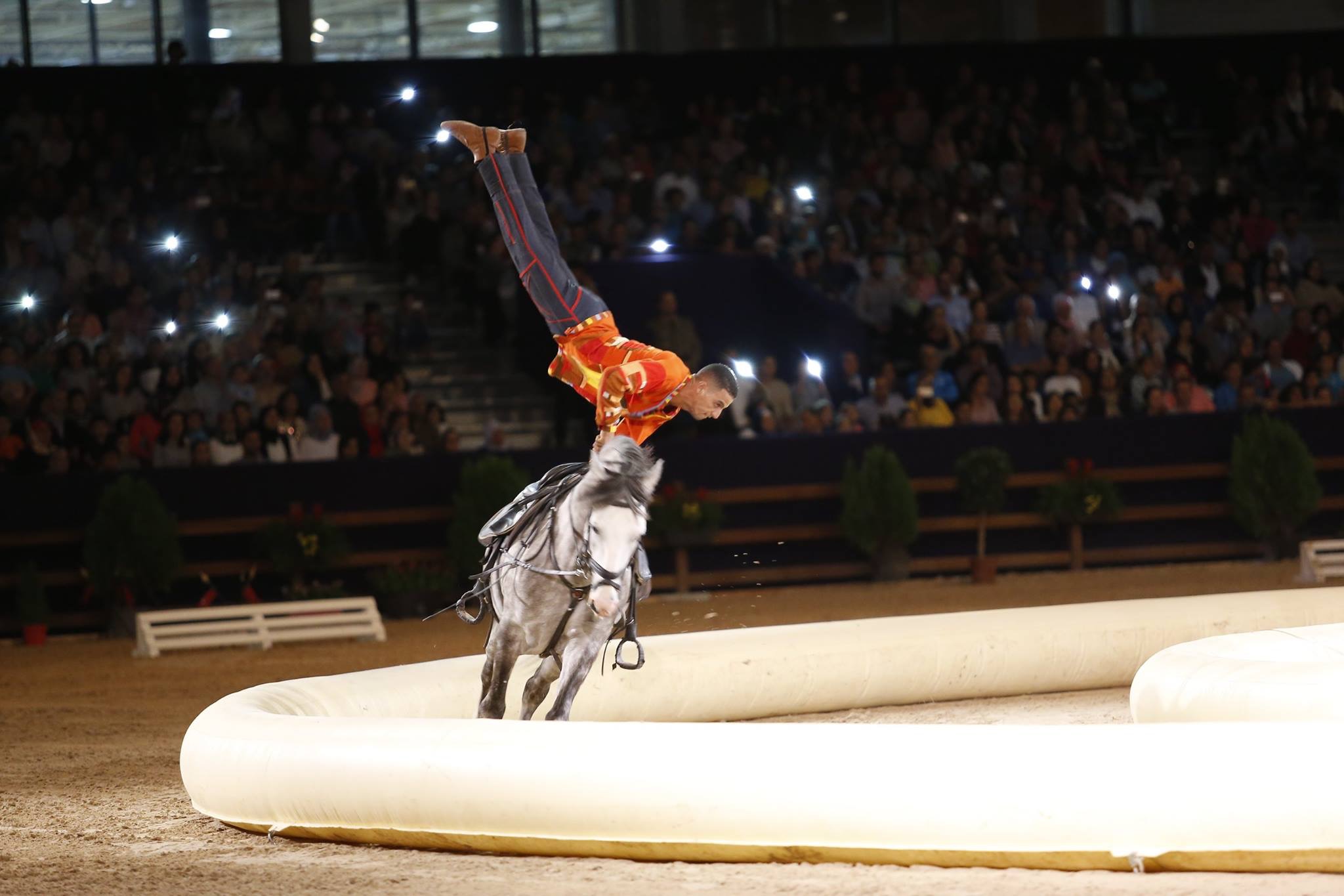 Best-of Spectacle 2015 - Ecole d'Art Equestre