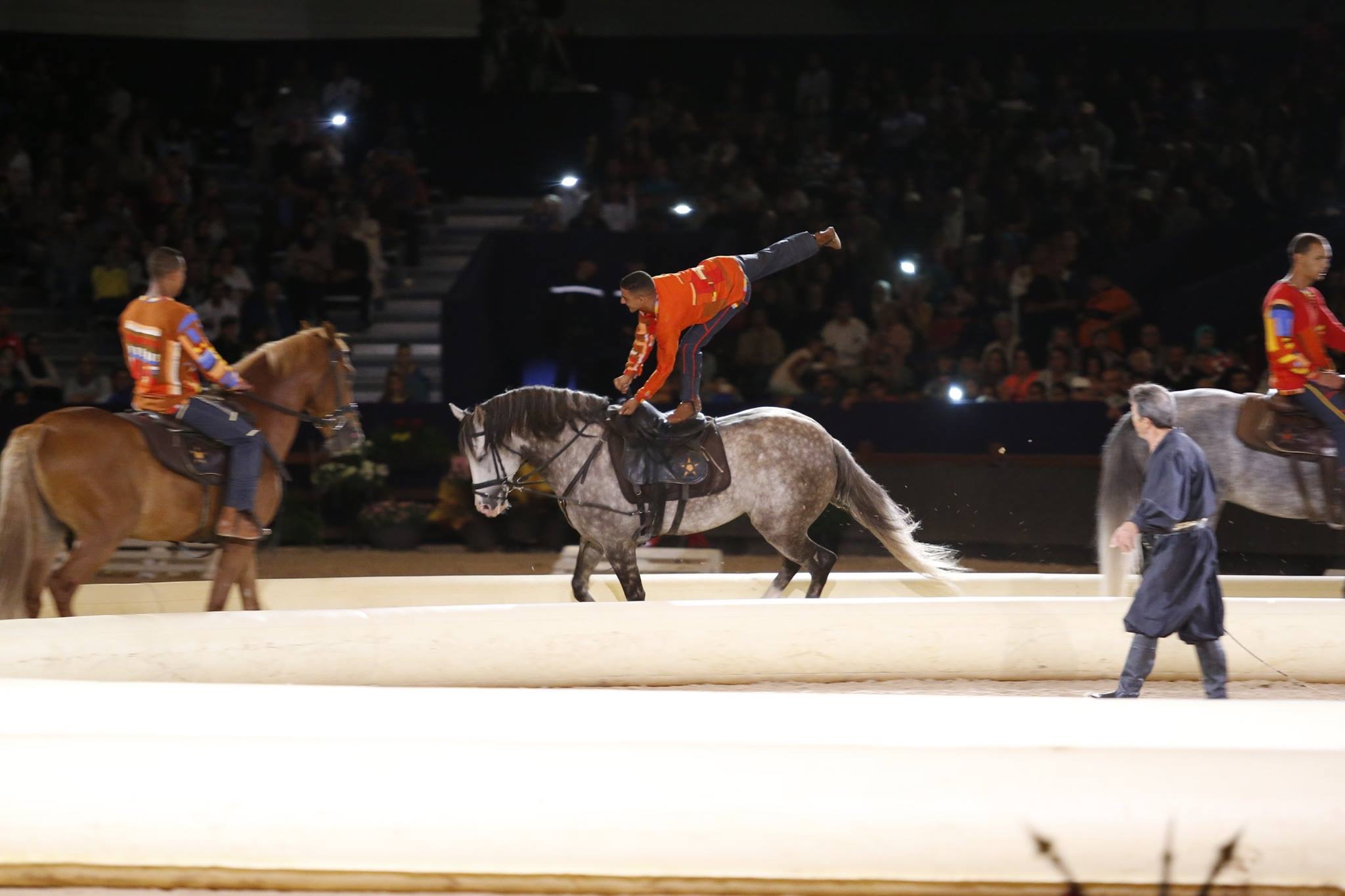Best-of Spectacle 2015 - Ecole d'Art Equestre
