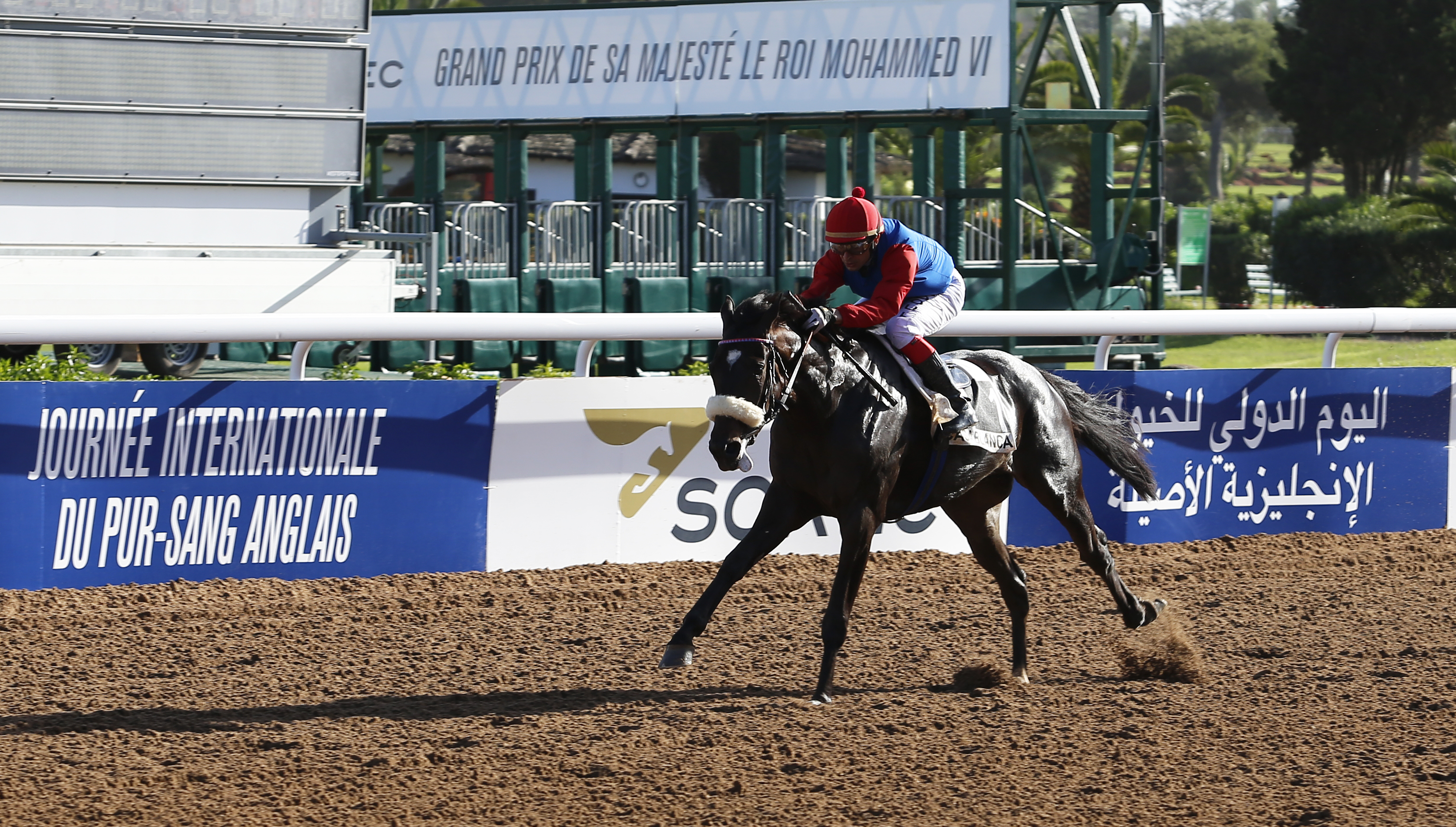 Meeting international des Courses de Pur-Sang