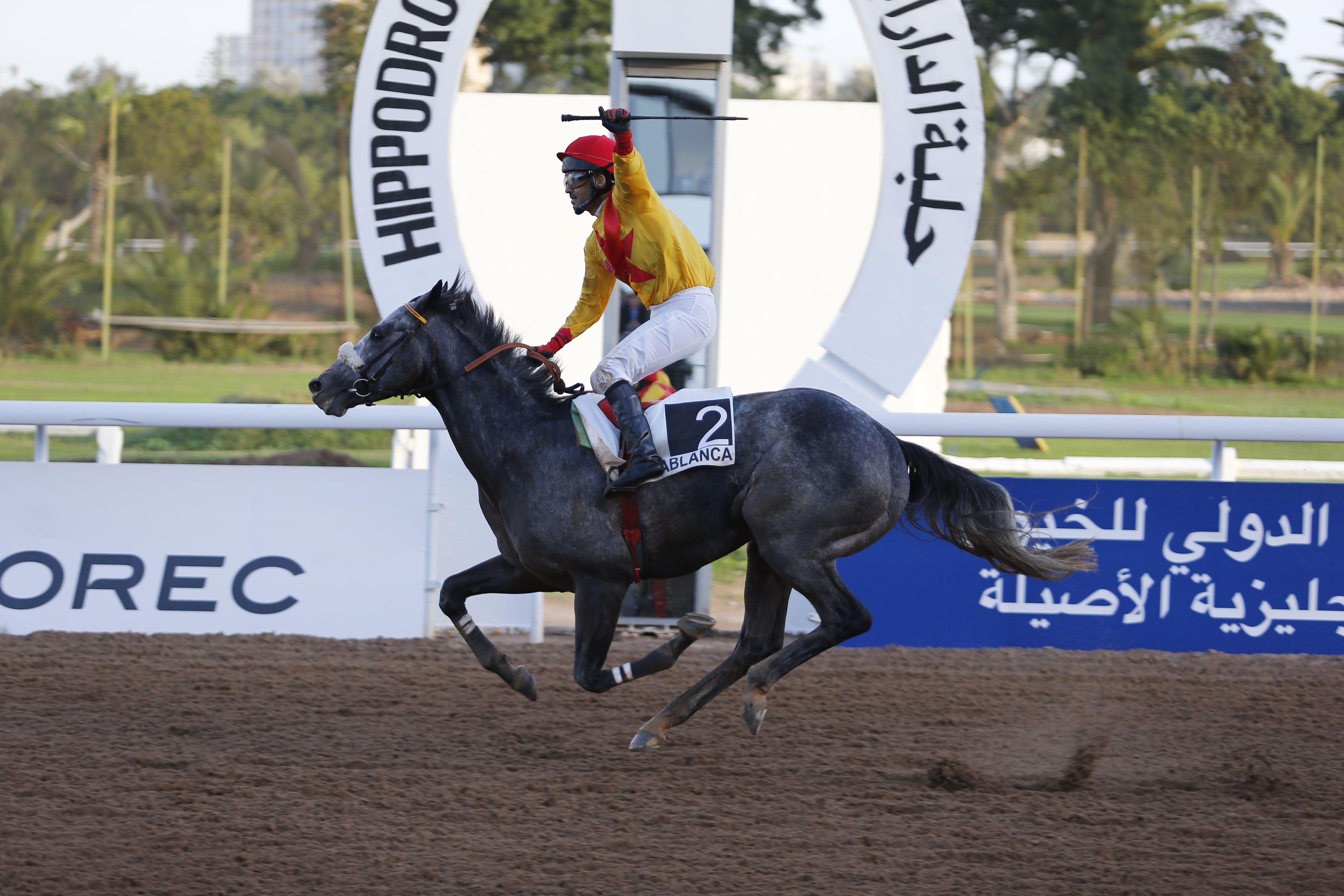 Meeting international des Courses