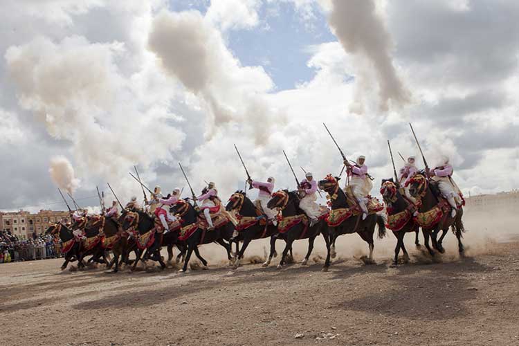 Cheval Marocain