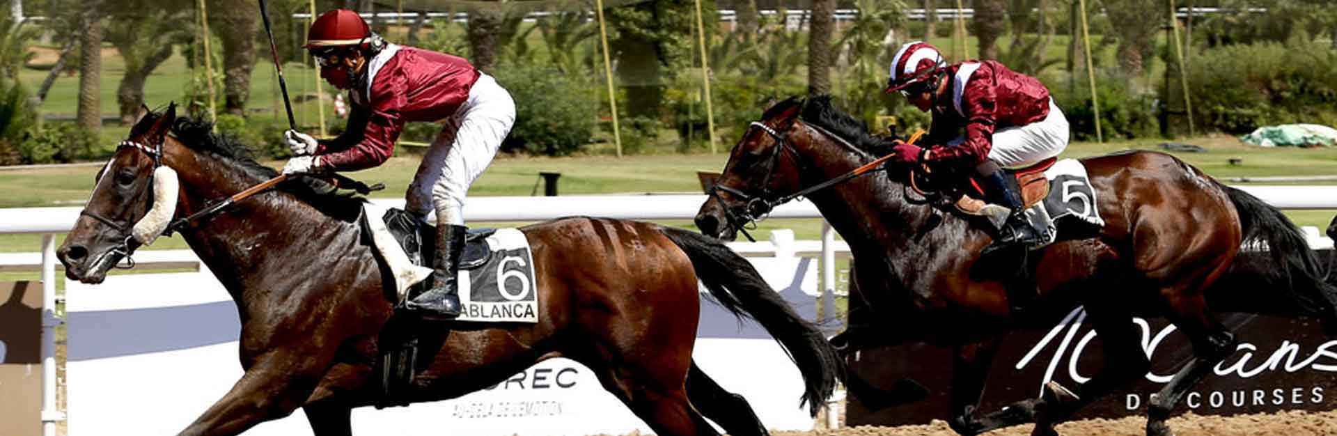 Courses hippiques