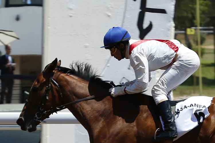 Course chevaux