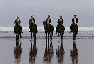 Cheval Maroc