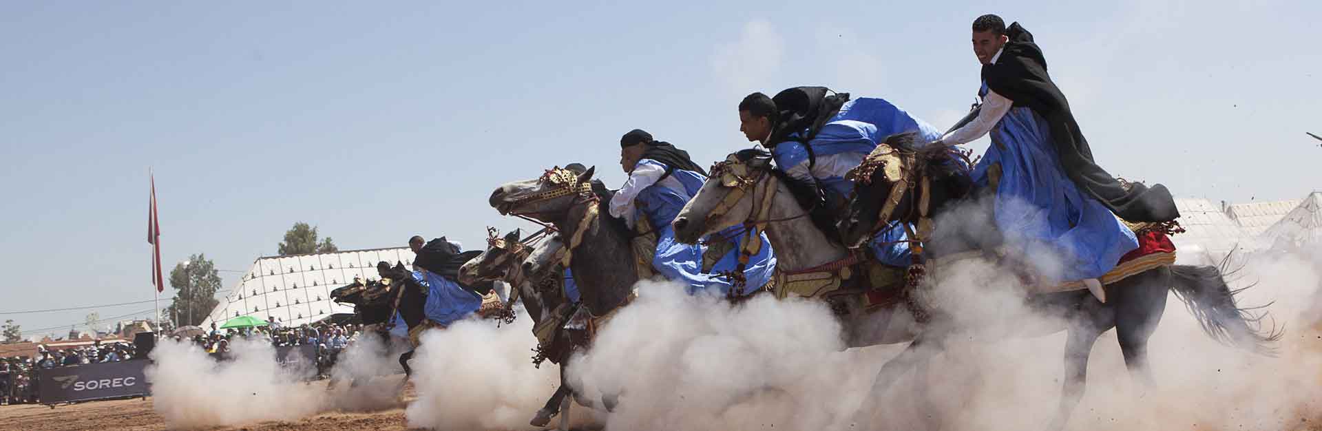 Cheval Maroc