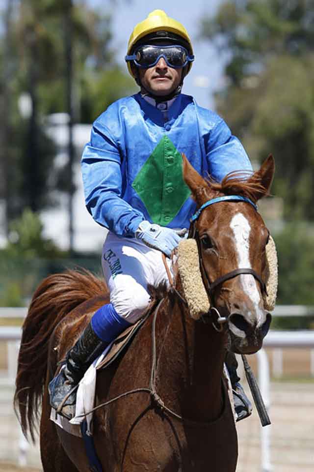Courses hippiques