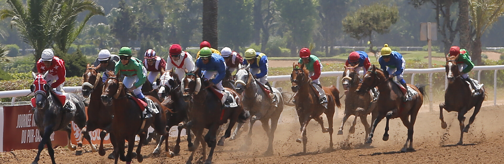 Programmes des courses