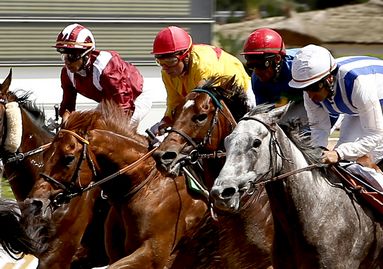 Course hippiques