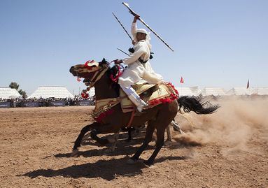 Cheval Maroc