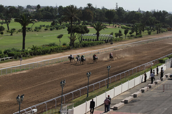Hipporome Casablanca
