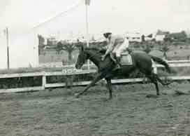 Chevaux de course