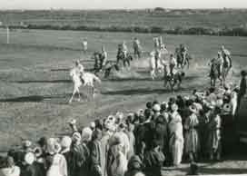 Jeux equestres