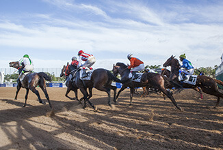 Journée internationale des Courses de Pur-Sang Anglais