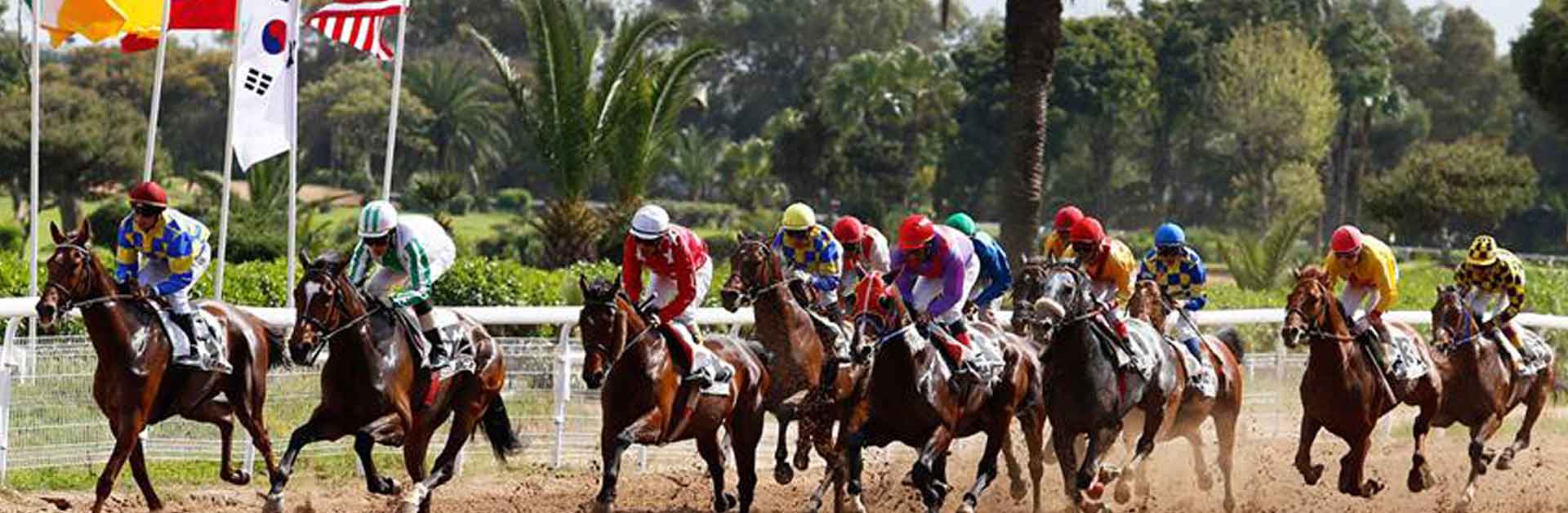 Course cheval